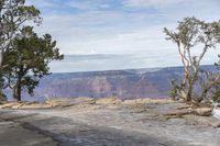 Colorado Mountain Road: A Nature View