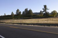 Colorado Mountain Road with Tree and Asphalt