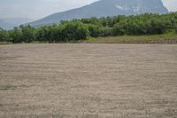 an empty field in front of mountains with trees in the distance and an open area of dirt