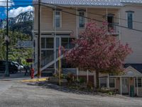 Colorado Mountain Scenery: A Suburban Village in Ouray