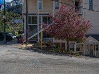 Colorado Mountain Scenery: A Suburban Village in Ouray