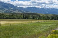 a horse that is standing in a grassy field near a fence and mountains with trees