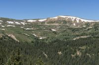 Colorado Mountain View: An Overlook into the Wilderness