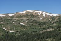 Colorado Mountain View: An Overlook into the Wilderness