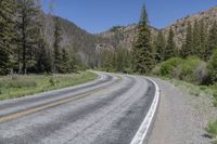 Colorado Mountains: A Road Through Lush Vegetation and Clear Skies