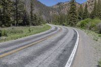 Colorado Mountains: A Road Through Lush Vegetation and Clear Skies