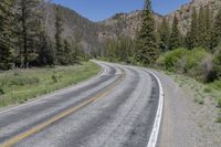 Colorado Mountains: A Road Through Lush Vegetation and Clear Skies