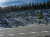 this is an image of the back side of an empty roadway and a pine - covered hill