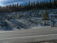 Colorado Mountains: Snowy Road Adorned by Nature