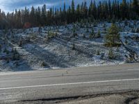 Colorado Mountains: Snowy Road Adorned by Nature