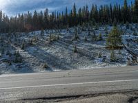 Colorado Mountains: Snowy Road Adorned by Nature