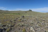 an open area with a very big rocky hillside in the background and bright blue sky above