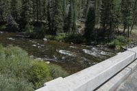 there is a small stream by a road side near some trees and bushes on the mountain