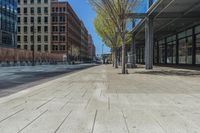 a fire hydrant in front of an office building with glass doors and windows on a sunny day