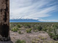 Colorado Open Space: Grass and Dirt Surfaces