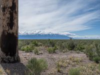 Colorado Open Space: Grass and Dirt Surfaces