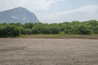 Colorado Open Space: Grassy Plains and Mountain Views 003