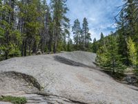 a dog stands on the edge of some large boulders in the middle of trees and rocks