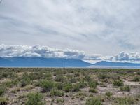 Colorado's Open Space: A Nature-Filled Grassland