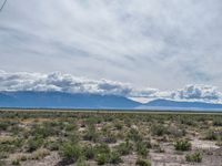 Colorado's Open Space: A Nature-Filled Grassland