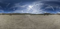 a panoramic shot looking at animals on a sand field with a blue sky