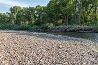 a dry river bed is shown with trees in the background and water in the foreground