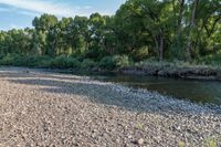 a dry river bed is shown with trees in the background and water in the foreground