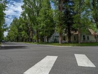 a road and trees line a residential street in a residential area in a neighborhood with no parking