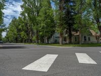 a road and trees line a residential street in a residential area in a neighborhood with no parking