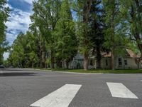 a road and trees line a residential street in a residential area in a neighborhood with no parking