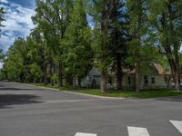 a road and trees line a residential street in a residential area in a neighborhood with no parking