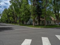 a road and trees line a residential street in a residential area in a neighborhood with no parking