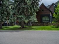 a road and trees line a residential street in a residential area in a neighborhood with no parking