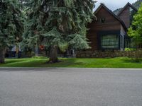 a road and trees line a residential street in a residential area in a neighborhood with no parking