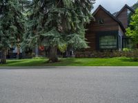 a road and trees line a residential street in a residential area in a neighborhood with no parking