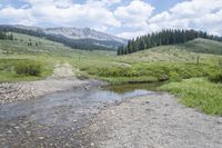 a stream winds through some grassy hills with a forest in the background and mountains behind