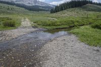 a stream winds through some grassy hills with a forest in the background and mountains behind