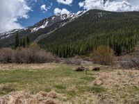 an image of a field that has snow on the mountain top in the background and a stream running through the forest