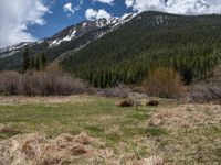 an image of a field that has snow on the mountain top in the background and a stream running through the forest