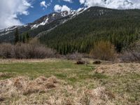 an image of a field that has snow on the mountain top in the background and a stream running through the forest