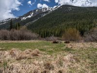 an image of a field that has snow on the mountain top in the background and a stream running through the forest