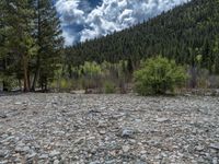 a forest is seen in this wide angle view in this photo from the bottom of the trail