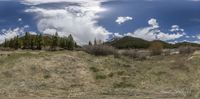 a green grassy field with a tree line behind it and some clouds in the sky