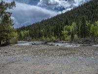 a forest is seen in this wide angle view in this photo from the bottom of the trail