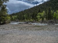 a forest is seen in this wide angle view in this photo from the bottom of the trail