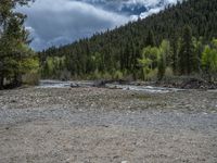 a forest is seen in this wide angle view in this photo from the bottom of the trail