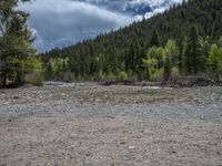 a forest is seen in this wide angle view in this photo from the bottom of the trail