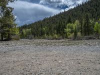 a forest is seen in this wide angle view in this photo from the bottom of the trail