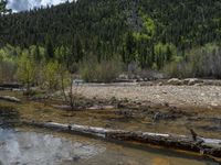 a forest is seen in this wide angle view in this photo from the bottom of the trail