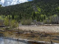 a forest is seen in this wide angle view in this photo from the bottom of the trail